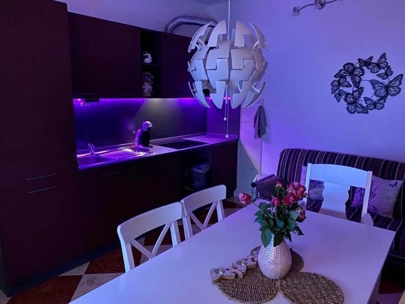 Apartman Silvija 茨里克韦尼察 外观 照片
