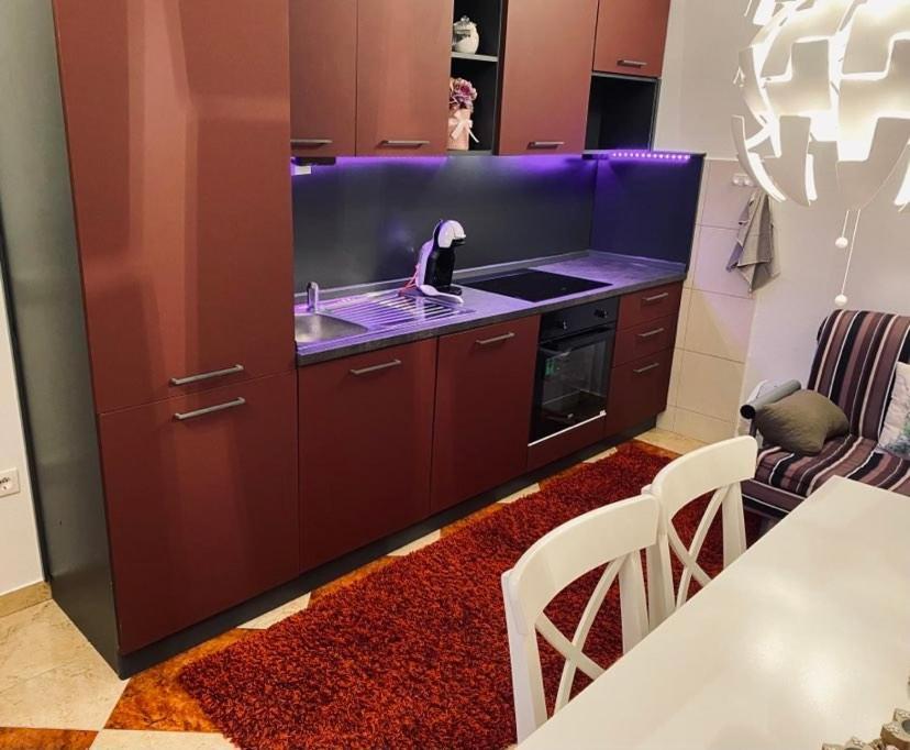 Apartman Silvija 茨里克韦尼察 外观 照片
